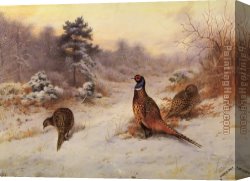 Archibald Thorburn Canvas Paintings - Winter's Sunset by Archibald Thorburn