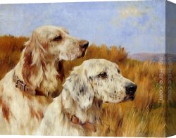 Setters Canvas Paintings - Two Setters by Arthur Wardle