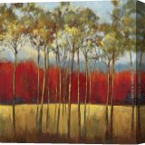 Buy Stretched Canvas Painting