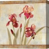 Buy Stretched Canvas Painting