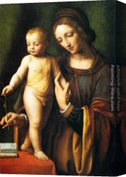 Virgin And Child Canvas Paintings - The Virgin And Child With A Columbine by Bernardino Luini