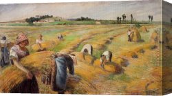 Harvest Canvas Paintings - The Harvest 1882 by Camille Pissarro