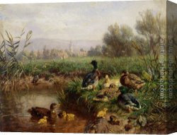 Jacob Duck Canvas Paintings - Ducks by a Pond by Carl Jutz