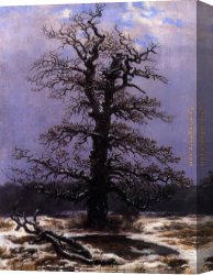 Friedrich Bamberger Canvas Paintings - Oak in the Snow by Caspar David Friedrich