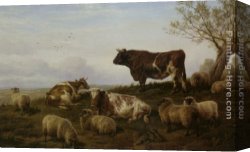Prospecting for Cattle Range Canvas Paintings - Cattle and Sheep Resting by Charles Jones