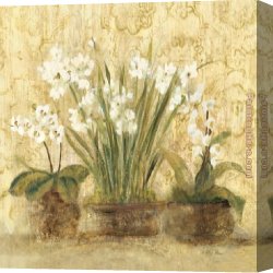 Cheri Canvas Paintings - Esprit Narcissus and Orchid by Cheri Blum