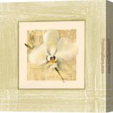 Stretched Canvas Painting