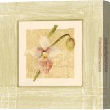 Stretched Canvas Painting