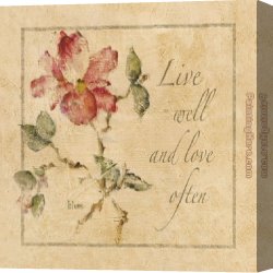 Cheri Canvas Paintings - Floral Sentiments I by Cheri Blum