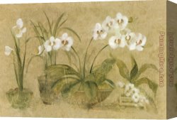 Cheri Canvas Paintings - Four Potted Orchids by Cheri Blum