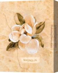 Cheri Canvas Paintings - Magnolia on Cracked Linen by Cheri Blum