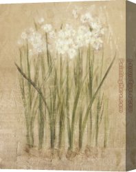 Cheri Canvas Paintings - Narcissus by Cheri Blum