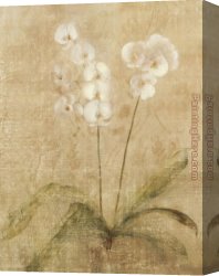 Cheri Canvas Paintings - Orchid by Cheri Blum