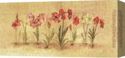 Cheri Canvas Paintings - Summertime Amaryllis by Cheri Blum