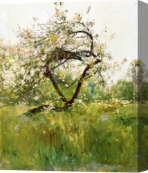 Peach Canvas Paintings - Peach Blossoms by childe hassam