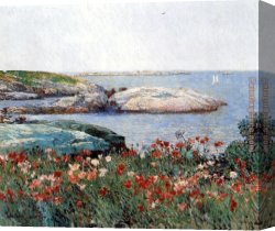 Childe Canvas Paintings - Poppies Isles of Shoals by childe hassam