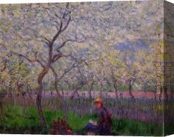 The Pear Orchard Canvas Paintings - An Orchard in Spring by Claude Monet