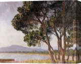 Stretched Canvas Painting