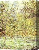 Stretched Canvas Painting