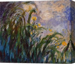 Les Iris Jaunes 1824 Canvas Paintings - Les iris jaunes 1824 by Claude Monet