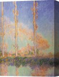 Stretched Canvas Painting