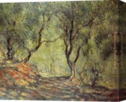 Woods Canvas Paintings - The Olive Tree Wood in the Moreno Garden by Claude Monet