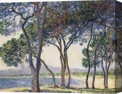 The Seashore Canvas Paintings - Trees by the Seashore at Antibes by Claude Monet
