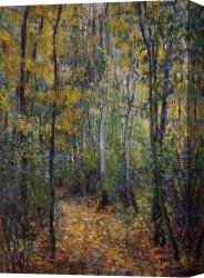 Wooded Canvas Paintings - Wood Lane by Claude Monet