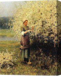 Daniel Canvas Paintings - Spring Blossoms by Daniel Ridgway Knight