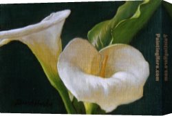 Hardy Canvas Paintings - Calla Lily Duo by David Hardy