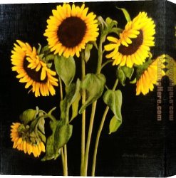 Hardy Canvas Paintings - Sunflowers by David Hardy