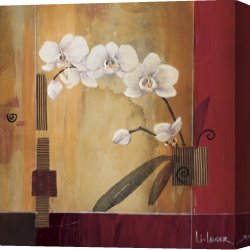 Li-leger Canvas Paintings - Orchid Lines II by Don Li-Leger