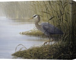 Li-leger Canvas Paintings - Watching and Waiting by Don Li-Leger