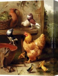 Feeding The Pigeons Canvas Paintings - A Chicken, Doves, Pigeons And Ducklings by Edgar Hunt
