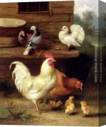 The Moose Hunt Canvas Paintings - A Cockerel, Hen And Chicks With Pigeons by Edgar Hunt