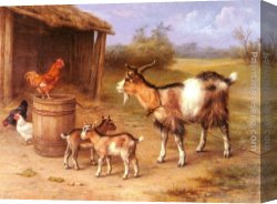 The Moose Hunt Canvas Paintings - A Farmyard scene with goats and chickens by Edgar Hunt