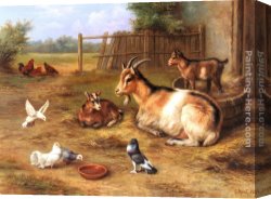 Chickens, Canvas Paintings - A Farmyard Scene with goats, chickens, doves by Edgar Hunt