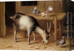 Goats Canvas Paintings - A Goat and Pigeons In a Farmyard by Edgar Hunt