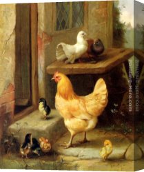 The Moose Hunt Canvas Paintings - A Hen, Chicks And Pigeons by Edgar Hunt