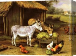 The Moose Hunt Canvas Paintings - Chickens and Donkeys feeding outside a Barn by Edgar Hunt