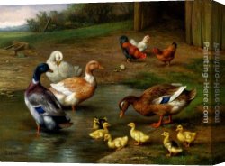 The Moose Hunt Canvas Paintings - Chickens, Ducks and Ducklings Paddling by Edgar Hunt