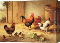 Chickens, Canvas Paintings - Chickens in a Barnyard by Edgar Hunt