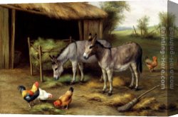 Poultry in The Undergrowth Canvas Paintings - Donkeys And Poultry by Edgar Hunt