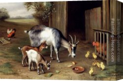 Poultry in The Undergrowth Canvas Paintings - Goats And Poultry by Edgar Hunt