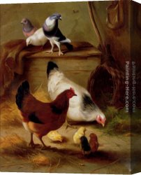 Feeding The Pigeons Canvas Paintings - Pigeons And Chickens by Edgar Hunt