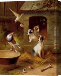 Feeding The Pigeons Canvas Paintings - Pigeons And Puppies by Edgar Hunt
