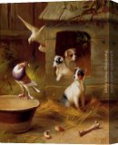 Stretched Canvas Painting