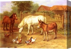Ponies, a Calf And Poultry in a Farmyard Canvas Paintings - Ponies, Donkey and Ducks in a Farmyard by Edgar Hunt