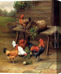 Poultry in The Undergrowth Canvas Paintings - Poultry In A Barnyard by Edgar Hunt