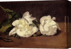 The Model Aline Masson with a White Mantilla Canvas Paintings - Branch Of White Peonies With Pruning Shears by Edouard Manet